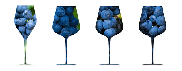 artistic composition of bunch of black grapes inside wine glass. Wine culture concept.