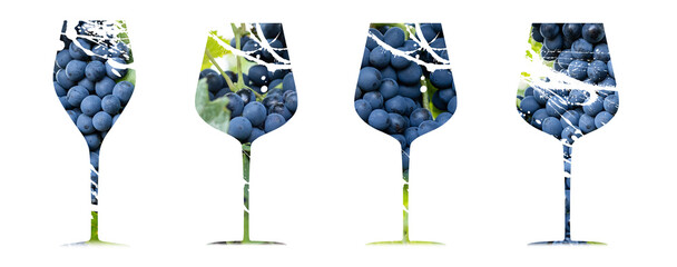 artistic composition of bunch of black grapes inside wine glass. Wine culture concept.