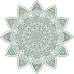 Beautiful flower art and mandala vector design
