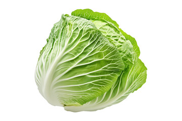 Whole green savoy cabbage with textured crinkled leaves isolated on transparent background. Concept of fresh organic vegetables and healthy eating