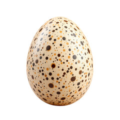 Decorated Easter Egg with Spotted Design