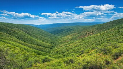 Obraz premium Beautiful Mountain Valley with Trees and Rolling Hills, serene atmosphere under the blue sky