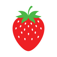 Strawberry  vector illustration 