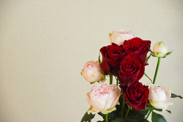 ピンクと赤のばら