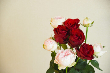 赤とピンクのばら