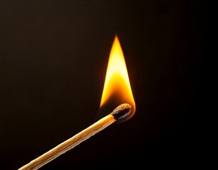 火のついた一本のマッチ棒