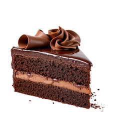 Delicious Chocolate Cake Slice with Exquisite Decoration