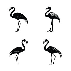 Obraz premium Flamingo silhouette set clipart on a white background
