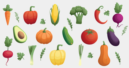 Hand drawn colorful vegetables and salad. Healthy eating. Healthy organic food. Pepper, carrot, pumpkin, zucchini, leek, tomato, arugula. Vector illustration.