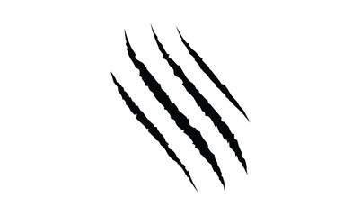 Animal silhouette claw paw marks, tiger, dog, lion, monster, scratches, talons cuts cat, tiger, isolated on transparent background.