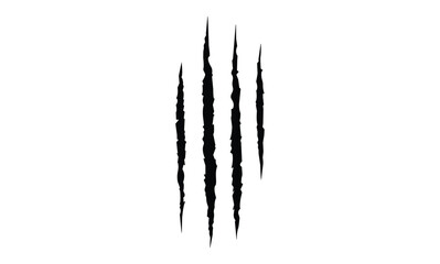 Cat tiger scratches signs.  tiger, dog, lion, monster, scratches, talons cuts cat, tiger, isolated on transparent background. Vector