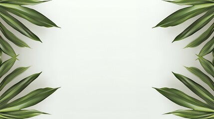 Fototapeta premium Green Leaves Frame on White Background