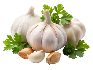 garlic and parsley isolated