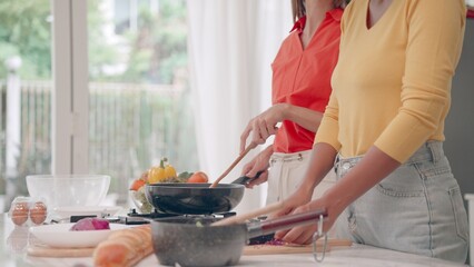 Lesbian couples cook dinner together, enjoy with holiday activities, and while spending time together at cozy homes. Positive mood and good times for LGBTQ lovers. family, marriage equality, Transgend