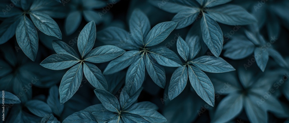 Poster moody teal foliage pattern with intricate leaf veins and dark background creates a calming botanical