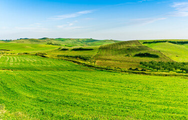 green spring hills with young grass and amazing growing fields and hills with beautiful bright...