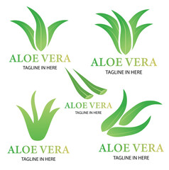 Set of aloevera logo template vector icon concept.