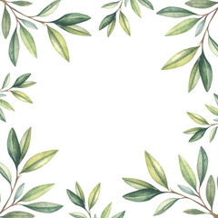 olive branch frame.Watercolor square frame of green branches. Beautiful frame for design of postcards, showcases, napkins. Olive branches