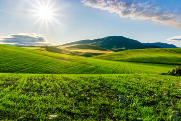 Scenic view at beautiful spring sunset in a green shiny field with green grass and golden sun rays, deep blue cloudy sky on a background , forest and country road, summer valley landscape