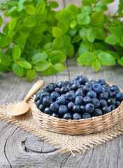 Fresh bilberry in a wicker basket