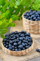 Fresh bilberry in a wicker basket