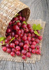 Red gooseberries in wicker basket