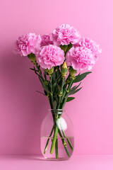 Fototapeta premium photograph of a single carnation flower in a glass vase against a pink bac