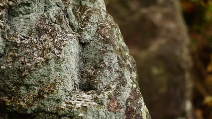 stone wall texture