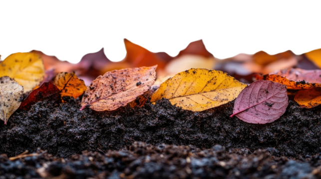 Autumn's Colorful Embrace: a close-up capture of dried leaves in the ground, showcasing their vibrant color palette, from fiery red to mellow yellow, creating a beautiful and natural composition. 
