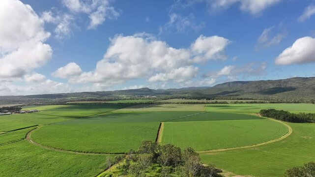 Spectacular aerial footage of Walkamin Atherton Tablelands Queensland Australia