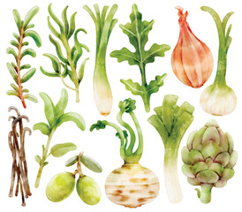 Watercolor Herb and Vegetable Illustration Set, Fresh Greens, Onion, Leek, Artichoke, Olive, Vanilla, Turnip, Rosemary, Thyme, Hand-painted, Organic, Vector, Illustration