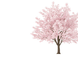Obraz premium A tree with pink blossoms is the main focus of the image. The tree is surrounded by a white background, which creates a sense of contrast and highlights the beauty of the pink blossoms