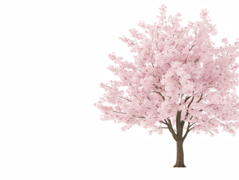 A tree with pink blossoms is the main focus of the image. The tree is surrounded by a white background, which creates a sense of contrast and highlights the beauty of the pink blossoms
