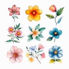 Watercolor clip art of colorful flowers isolated on white background.