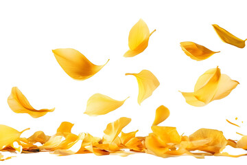 flower petals flying isolated on transparent background