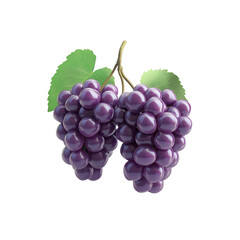 Lush Clusters of Ripe Purple Grapes on the Vine