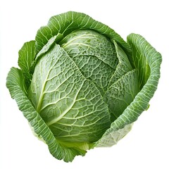 Fototapeta premium Fresh Green Cabbage Vegetable Close Up Studio Shot Isolated on White Background