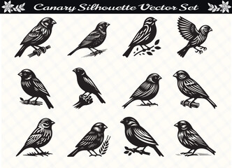 Black Color Canary Silhouette Vector Illustration for Digital and Print Design