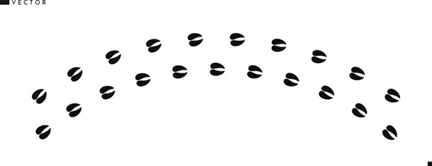 Holstein cow footprints