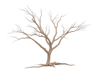 Fototapeta premium A tree with no leaves is shown in a white background. The tree is bare and has no leaves, giving it a desolate and lonely appearance