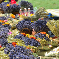 Bouquets of lavander. Provence, France