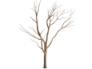 Obraz premium A tree with no leaves is depicted in a white background. The tree appears to be bare and lifeless, with no signs of growth or vitality. Concept of emptiness and desolation