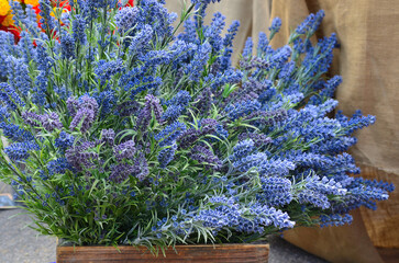 Bouquets of lavander. Provence, France