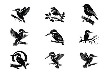 "Kingfisher Silhouette Collection - Black and White Bird Art Illustrations"