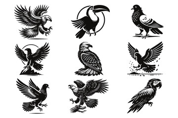 Black and White Bird Vector Illustration | Flying & Perched Birds 