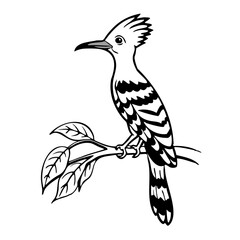 Naklejka premium Hoopoe Bird black silhouette on a tree branch isolated on a transparent background