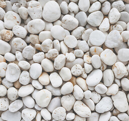 Natural White Pebbles in Various Shapes and Textures