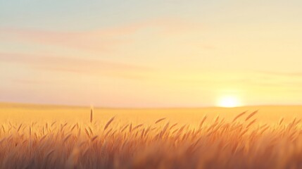 Fototapeta premium Golden sunrise over serene field, soft light illuminating tall grass, peaceful morning vibe, ideal for nature themes.