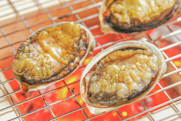 炭火でアワビを焼く