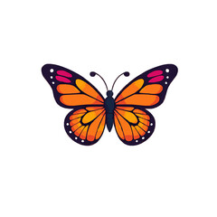 Beautiful Colorful Tropical Butterfly Illustration